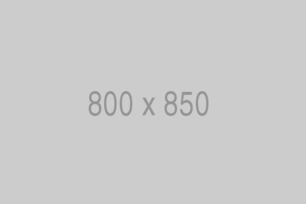 800x850