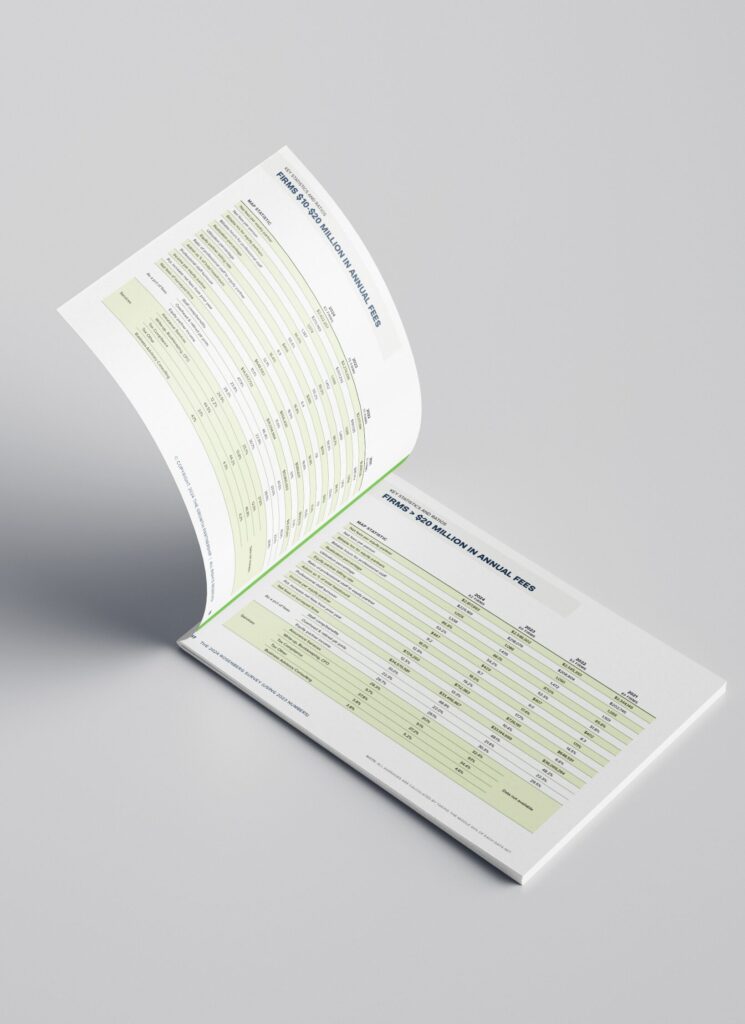 Mockup - RS 2024 - 02 copy